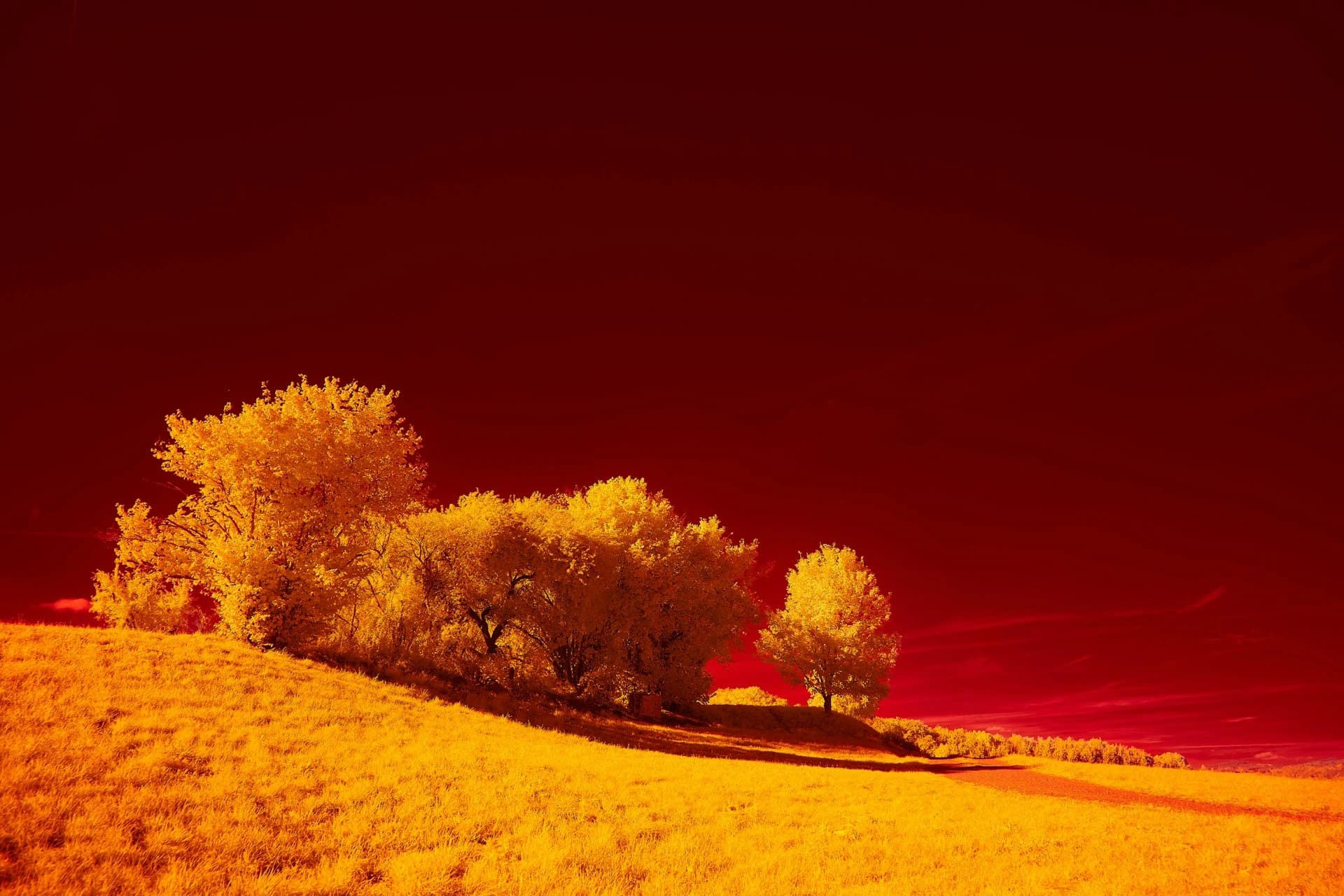 The red and orange landscape used in Zuwena's visual identity